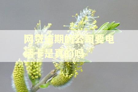 网贷逾期的公司要电话卡是真的吗
