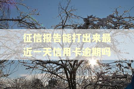 征信报告能打出来最近一天信用卡逾期吗