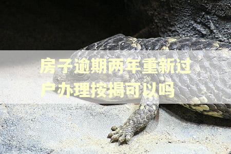 房子逾期两年重新过户办理按揭可以吗