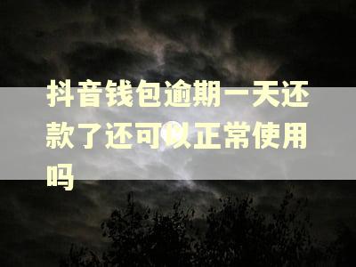 抖音钱包逾期一天还款了还可以正常使用吗