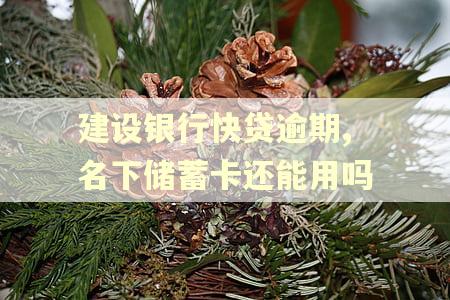 建设银行快贷逾期,名下储蓄卡还能用吗 建设银行快贷逾期,名下储蓄卡还能用吗