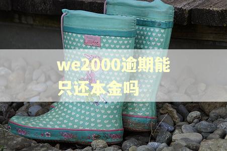 we2000逾期能只还本金吗