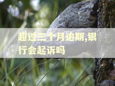 超过三个月逾期,银行会起诉吗