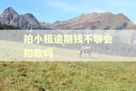 拍小租逾期钱不够会扣款吗