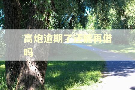 高炮逾期了还能再借吗