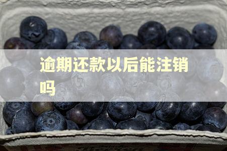 逾期还款以后能注销吗
