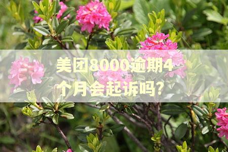 美团8000逾期4个月会起诉吗?