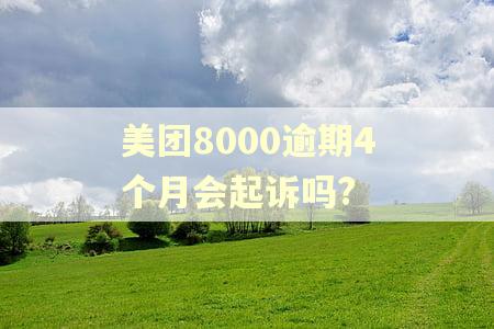 美团8000逾期4个月会起诉吗?