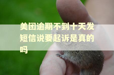 美团逾期不到十天发短信说要起诉是真的吗