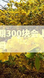 逾期300块会上征信吗 逾期300块会上征信吗