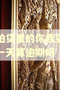 拍拍贷里的你我贷晚换一天算逾期吗