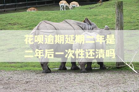 花呗逾期延期二年是二年后一次性还清吗