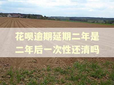 花呗逾期延期二年是二年后一次性还清吗 花呗逾期延期二年是二年后一次性还清吗