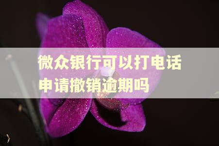 微众银行可以打电话申请撤销逾期吗