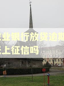 农业银行放贷逾期2天上征信吗