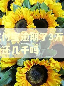 支付宝逾期了3万能先还几千吗