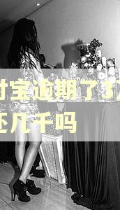 支付宝逾期了3万能先还几千吗