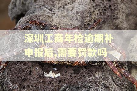深圳工商年检逾期补申报后,需要罚款吗