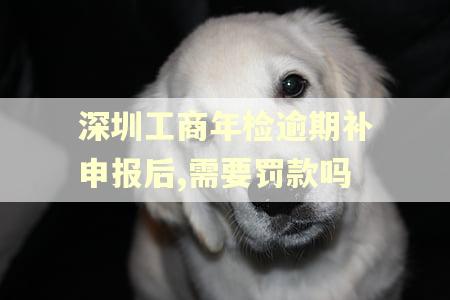 深圳工商年检逾期补申报后,需要罚款吗