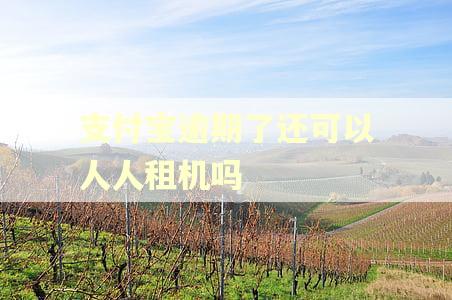 支付宝逾期了还可以人人租机吗