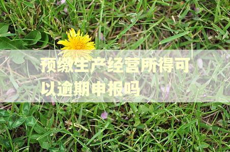 预缴生产经营所得可以逾期申报吗