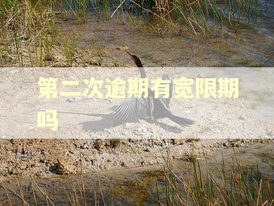 第二次逾期有宽限期吗