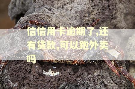信信用卡逾期了,还有贷款,可以跑外卖吗 信信用卡逾期了,还有贷款,可以跑外卖吗