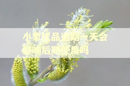 小象优品逾期一天会影响后期使用吗