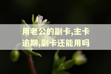 用老公的副卡,主卡逾期,副卡还能用吗