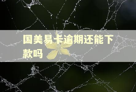 国美易卡逾期还能下款吗