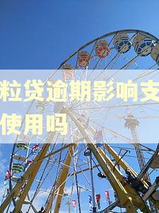 微粒贷逾期影响支付宝使用吗