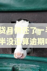 房贷月供还了一半,一半没还算逾期吗？