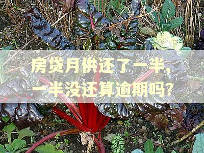 房贷月供还了一半,一半没还算逾期吗？