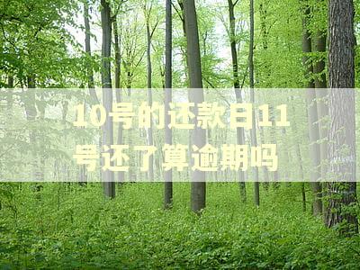 10号的还款日11号还了算逾期吗