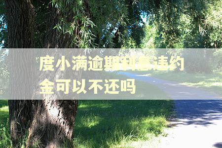 度小满逾期利息违约金可以不还吗