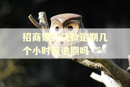 招商银行贷款逾期几个小时算逾期吗