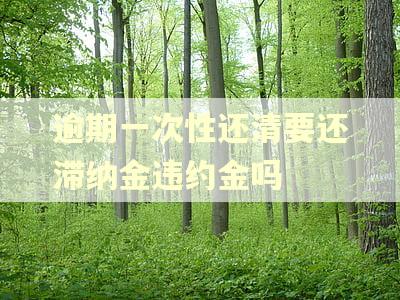 逾期一次性还清要还滞纳金违约金吗