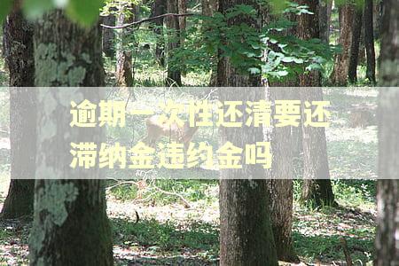 逾期一次性还清要还滞纳金违约金吗