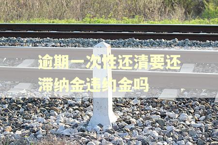 逾期一次性还清要还滞纳金违约金吗 逾期一次性还清要还滞纳金违约金吗
