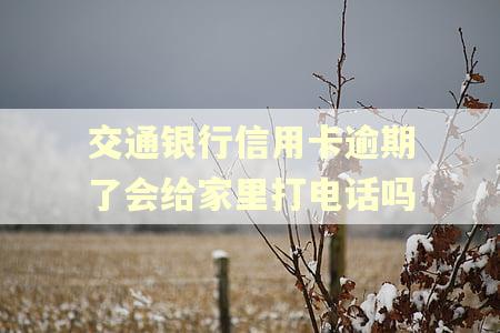 交通银行信用卡逾期了会给家里打电话吗