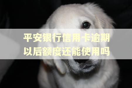 平安银行信用卡逾期以后额度还能使用吗