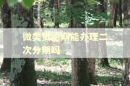 微类贷逾期能办理二次分期吗