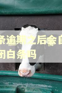 白条逾期之后会自动关闭白条吗 白条逾期之后会自动关闭白条吗