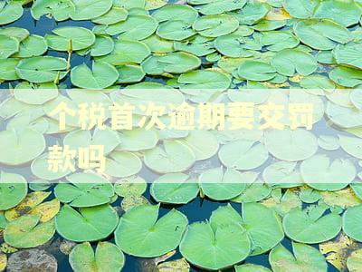个税首次逾期要交罚款吗
