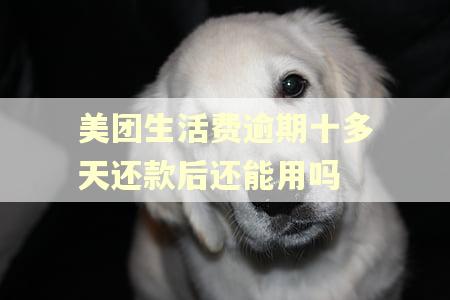 美团生活费逾期十多天还款后还能用吗