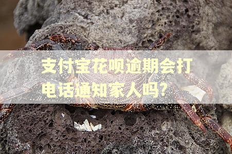 支付宝花呗逾期会打电话通知家人吗?