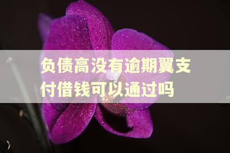 负债高没有逾期翼支付借钱可以通过吗