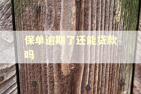 保单逾期了还能贷款吗