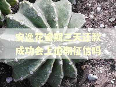 安逸花逾期三天还款成功会上逾期征信吗