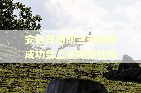 安逸花逾期三天还款成功会上逾期征信吗